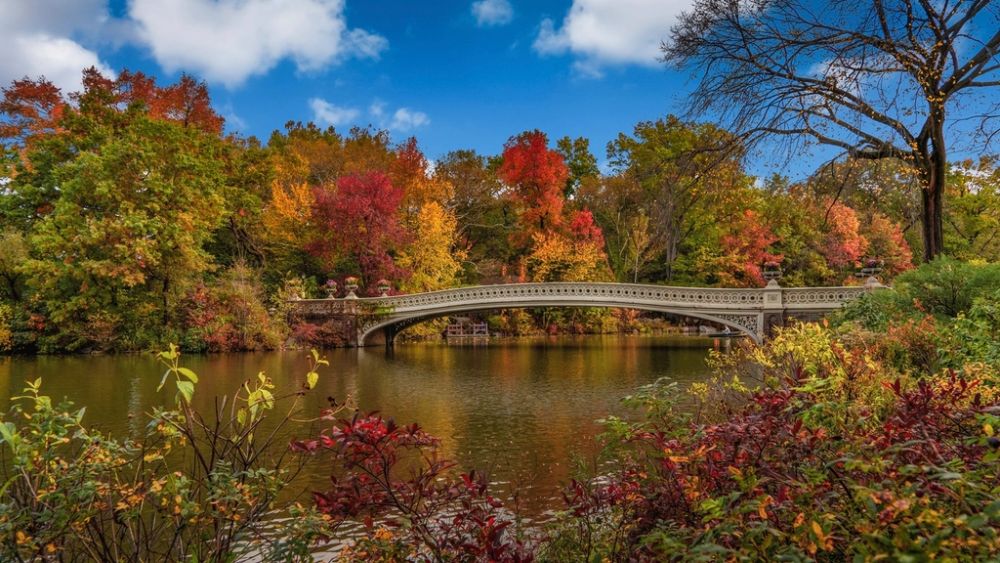 Seasonal NYC
